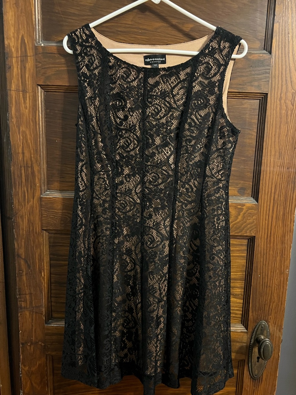 Black Lace Overlay Sleeveless Dress
